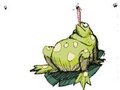 Princess Frog om aanlyn te speel