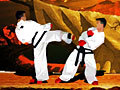 Taekwon-Do om aanlyn te speel