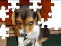 Cute Dog Puzzle om aanlyn te speel