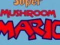 Super sampioen Mario om aanlyn te speel