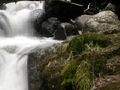 Forest Waterval om aanlyn te speel