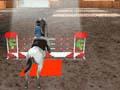 Equestrian 3D om aanlyn te speel