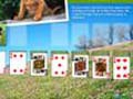 Animal Planet Solitaire om aanlyn te speel